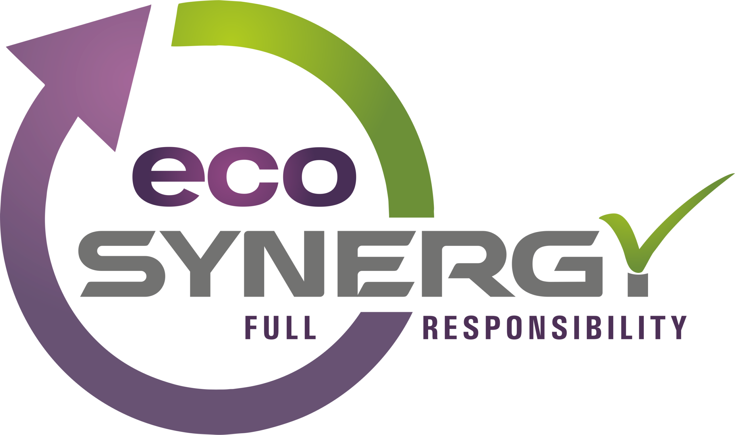 logo Eco Synergy